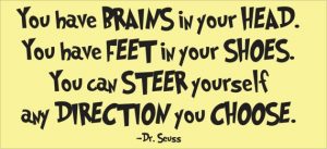 you-have-brains-in-your-head-you-have-feet-in-your-shoes-you-can-steer-yourself-any-direction-you-choose-dr-seuss